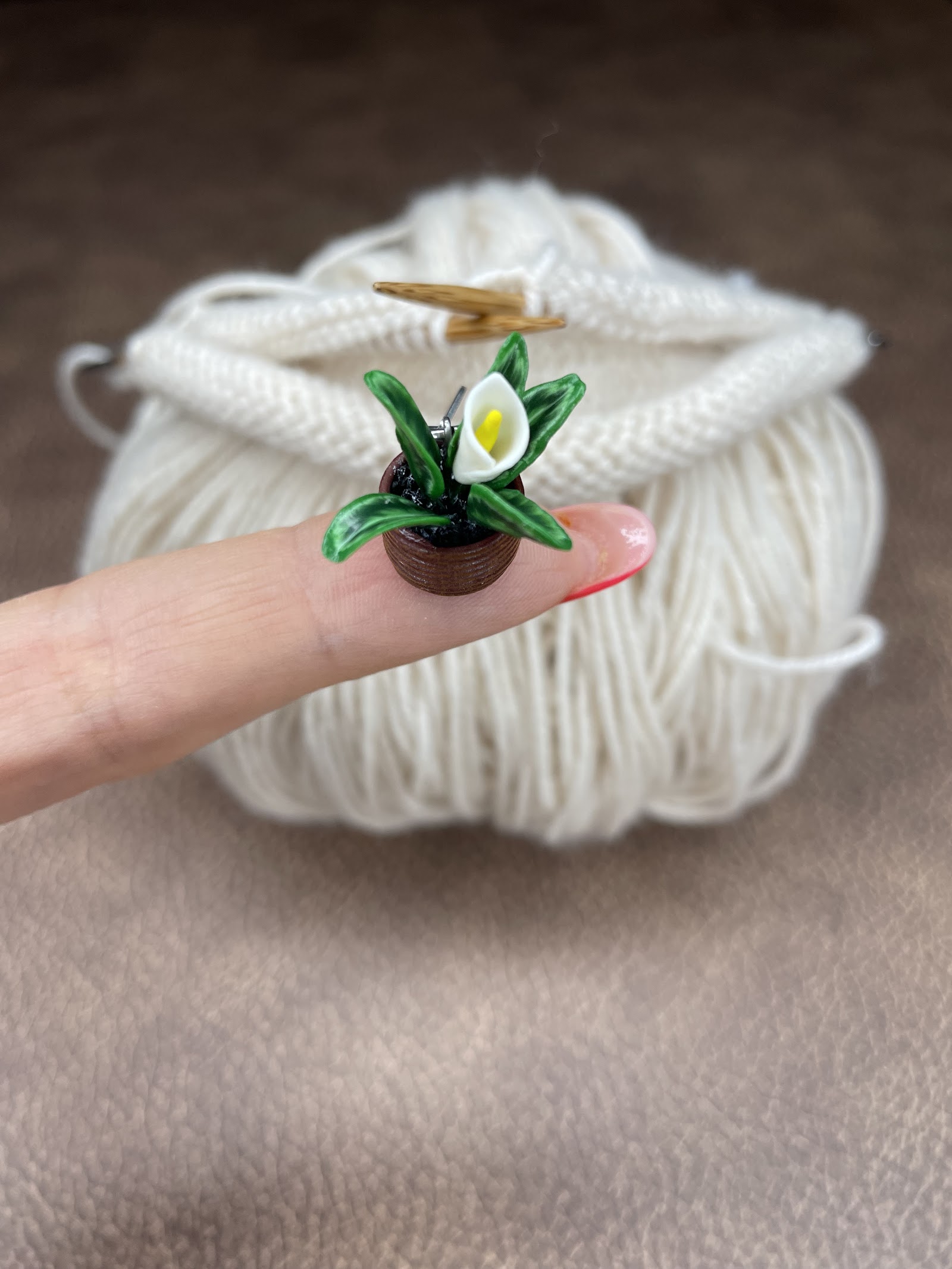 White Calla Lily in a Pot